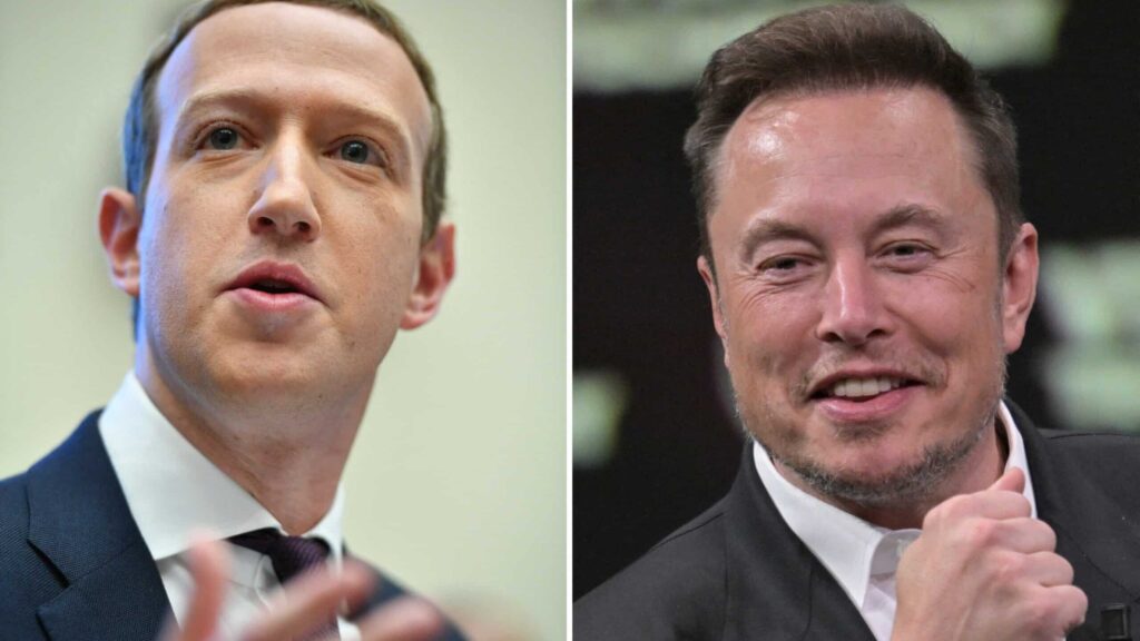 zuckerberg vs musk fight